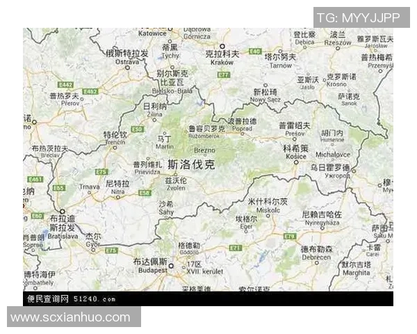 威尔斯与斯洛伐克对决分析及胜负预测探讨